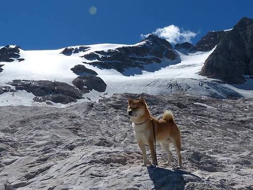 国足阵型调整后胜率变化分析，国足排阵